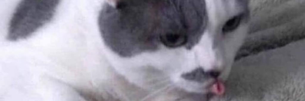 Meleesalizbeth's profile banner image