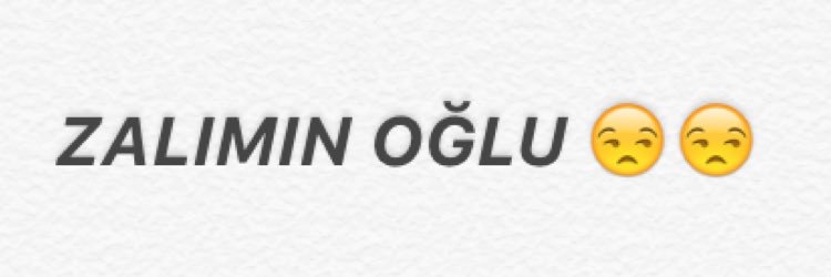 _zaliminoglu's profile banner image
