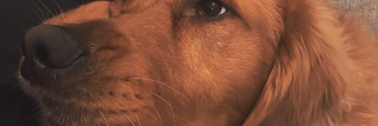 scottceeeeee_'s profile banner image