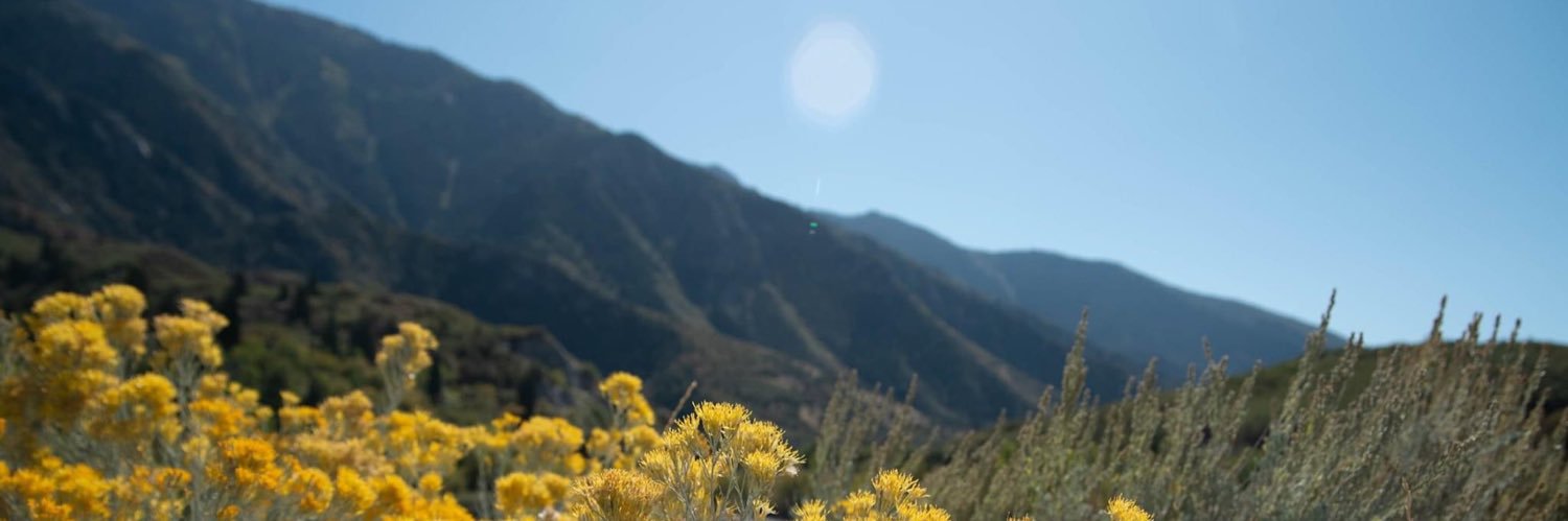 SLPinMD banner