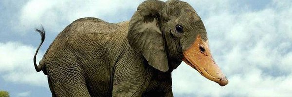 heavydmail Profile Banner