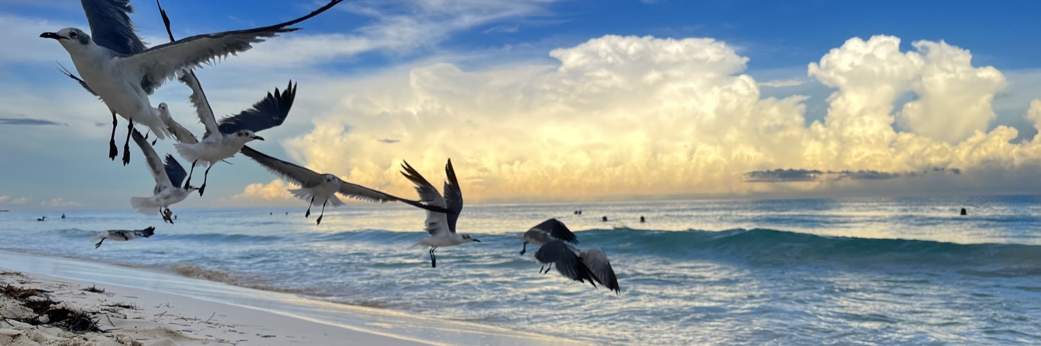 ElanneGaracci's profile banner image