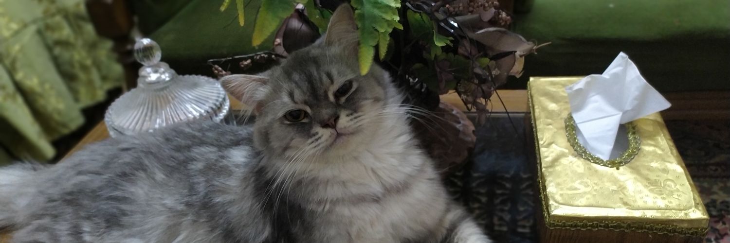 Smsma_Queen0's profile banner image