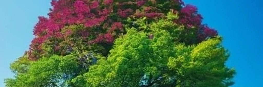 starknet0005's profile banner image
