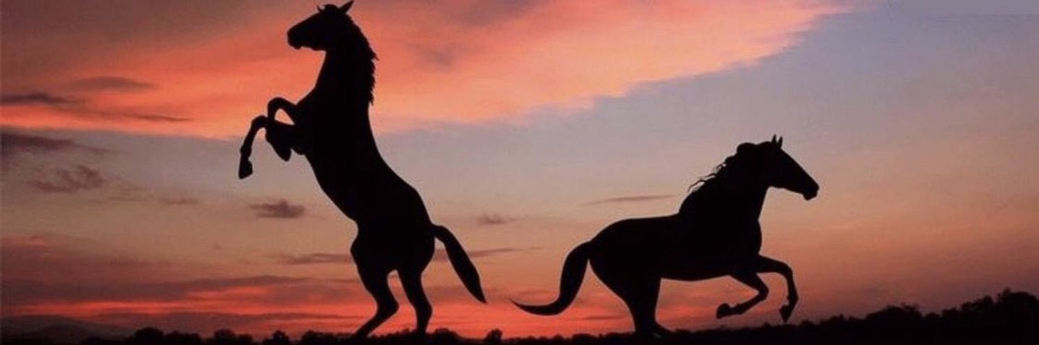 IFrooha's profile banner image