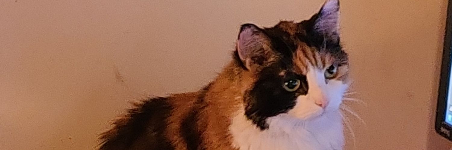 Jonathan Donaldson banner