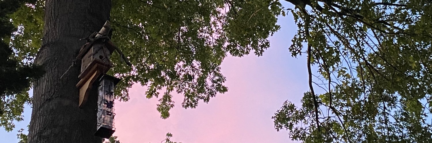 disbriannabetch's profile banner image