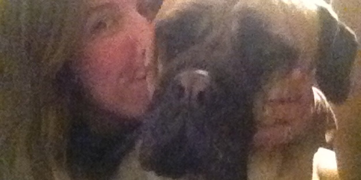 DaisyJTheDog's profile banner image