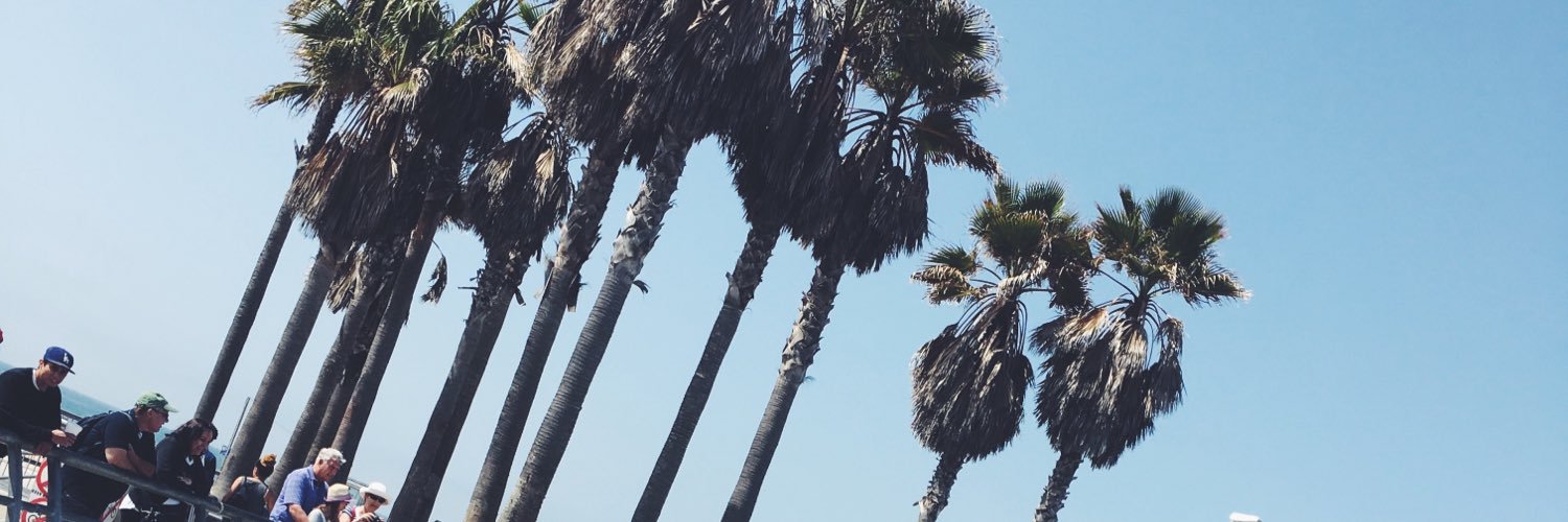 llinnhallgren's profile banner image