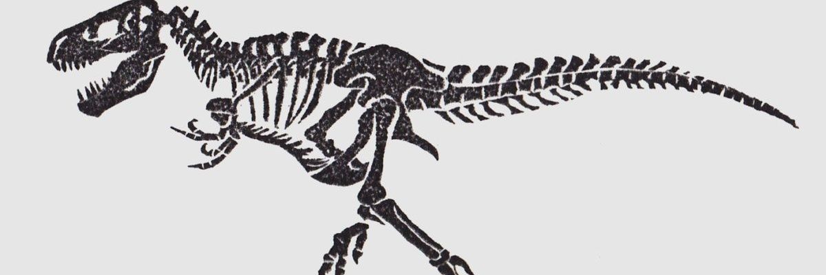 soyeddii's profile banner image