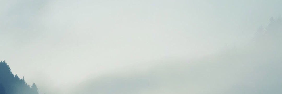 Bushra_ahmd's profile banner image
