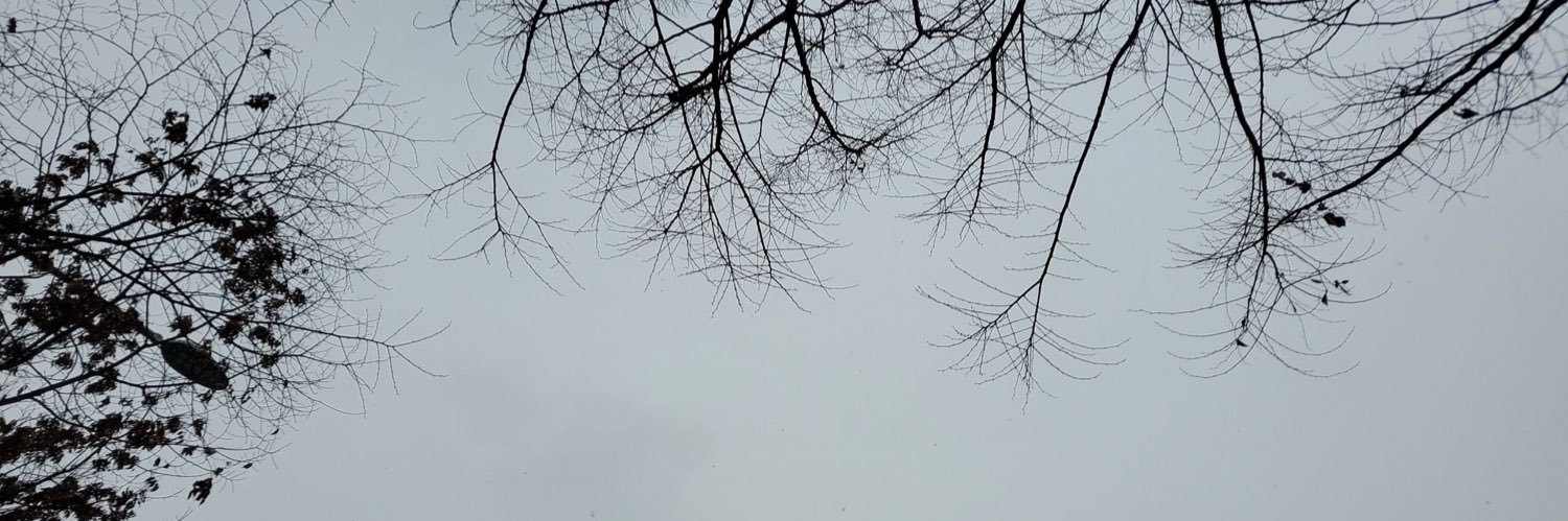 7BLUSIDE's profile banner image