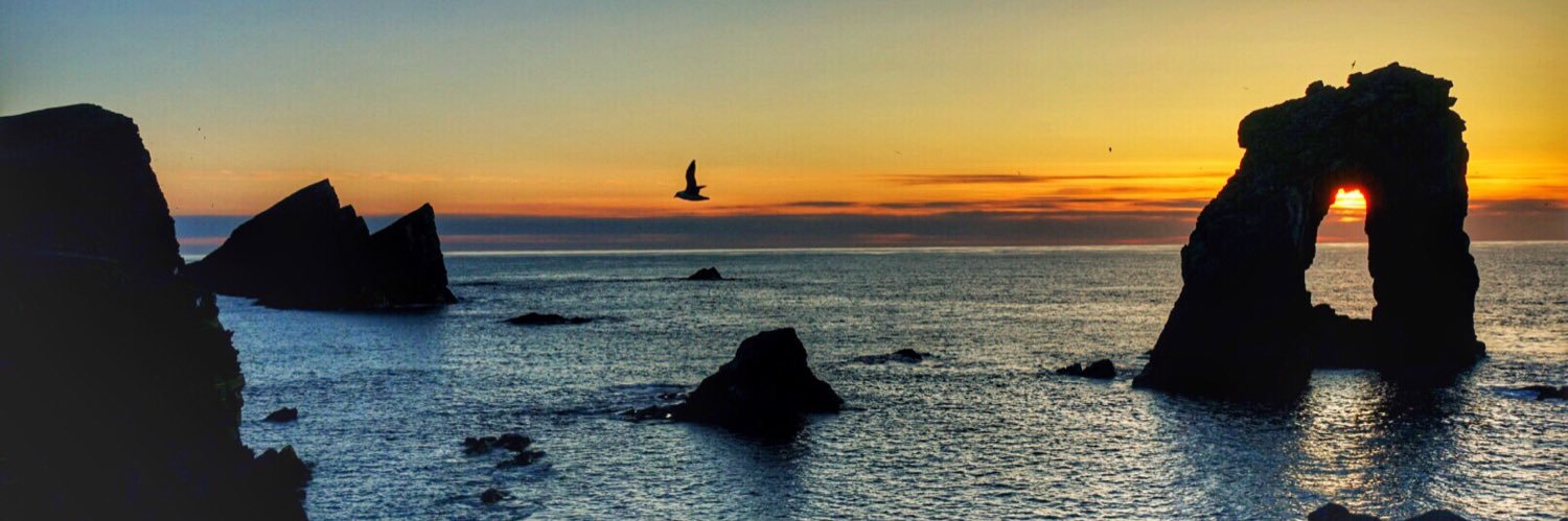 HenShetland's profile banner image