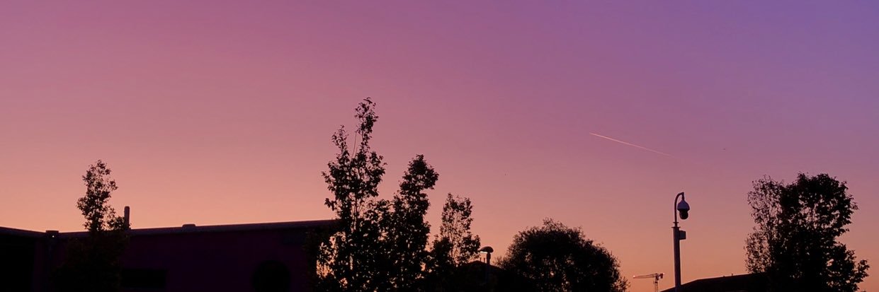 leilakebbs's profile banner image