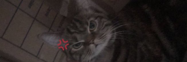 Zunakei's profile banner image
