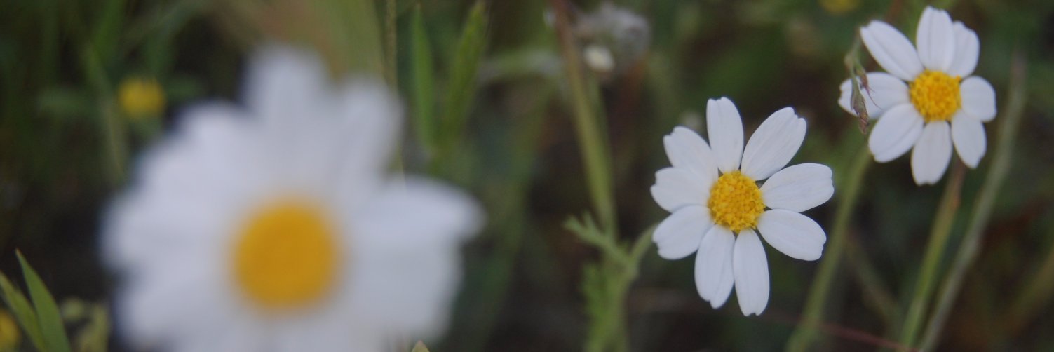 Marta__Jimenez's profile banner image