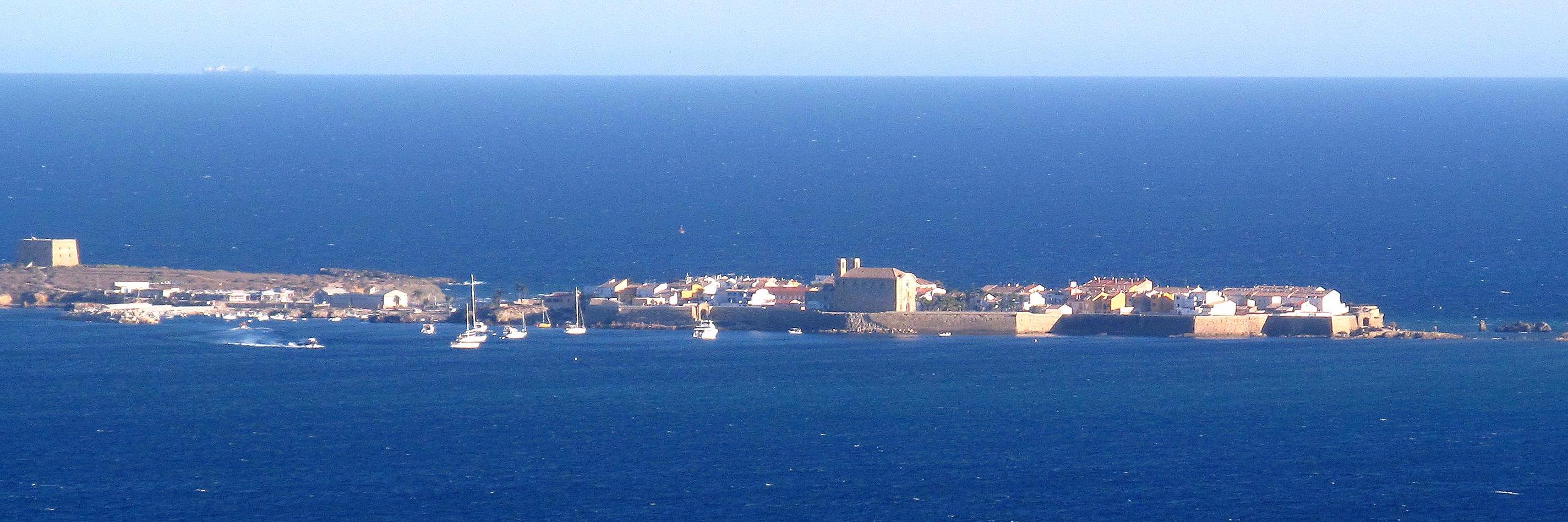 Toni Martínez i Bernat banner