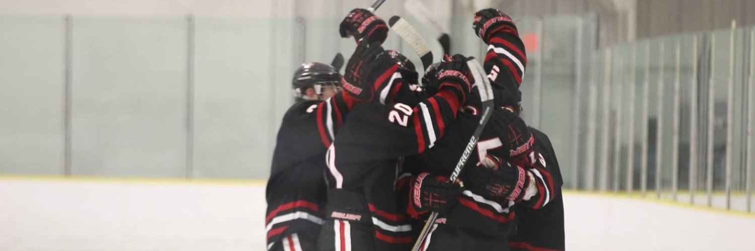 rubinsandwhich's profile banner image