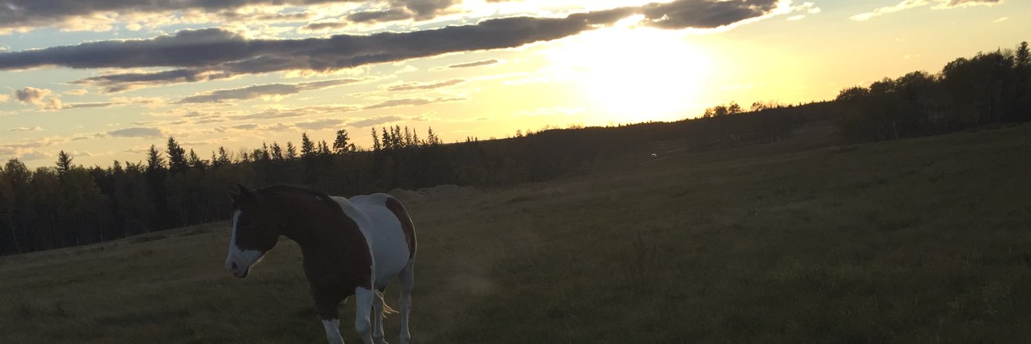 CassyMichalyk's profile banner image