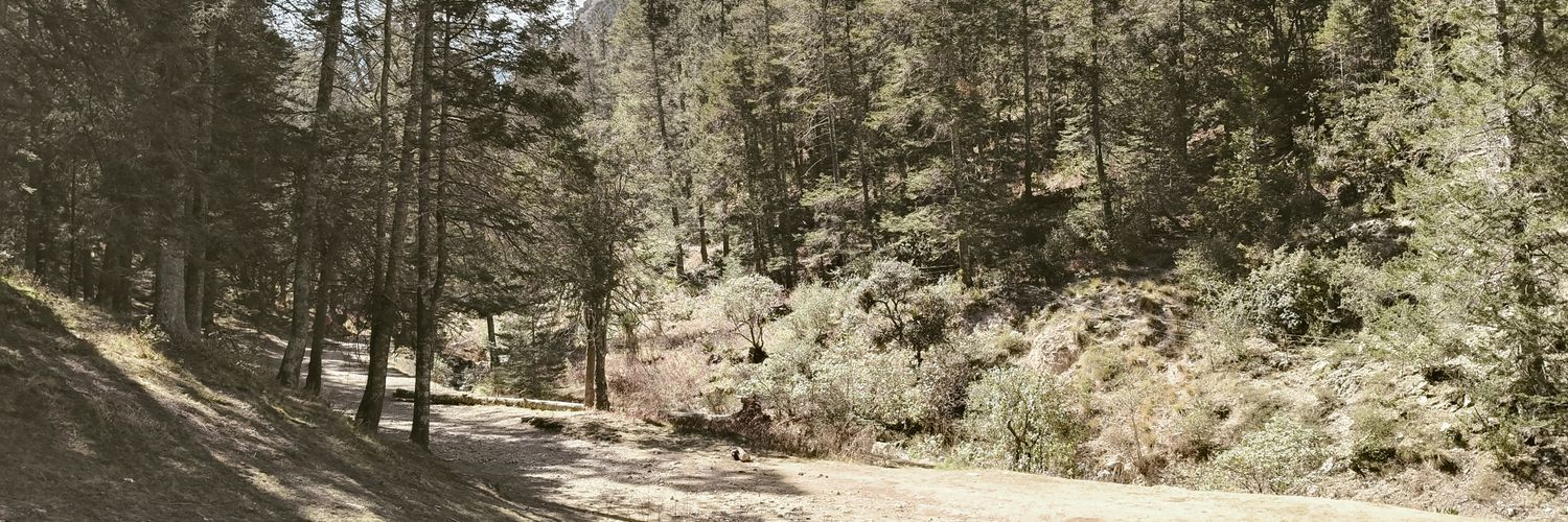 AJMartinezlider's profile banner image