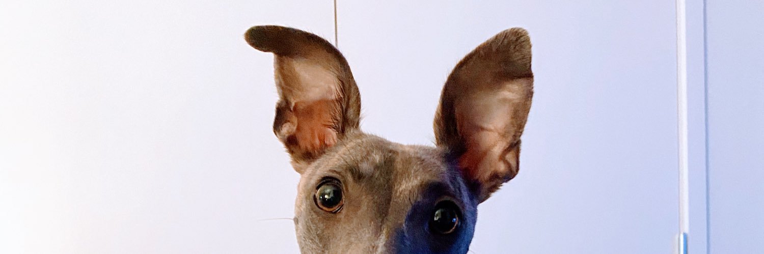 SamHollyUK's profile banner image