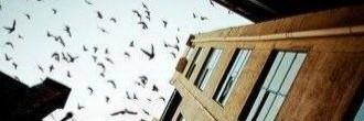 Azooz7A's profile banner image