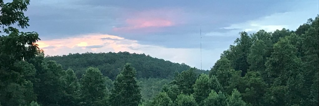 dawg_darlin's profile banner image