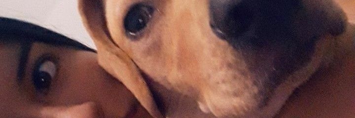 AngelesBrenda's profile banner image