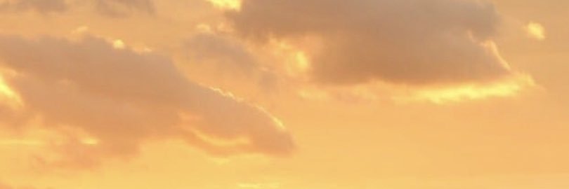 oliviarose915's profile banner image