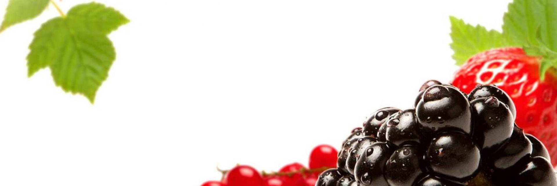 NatureAddictsFR's profile banner image