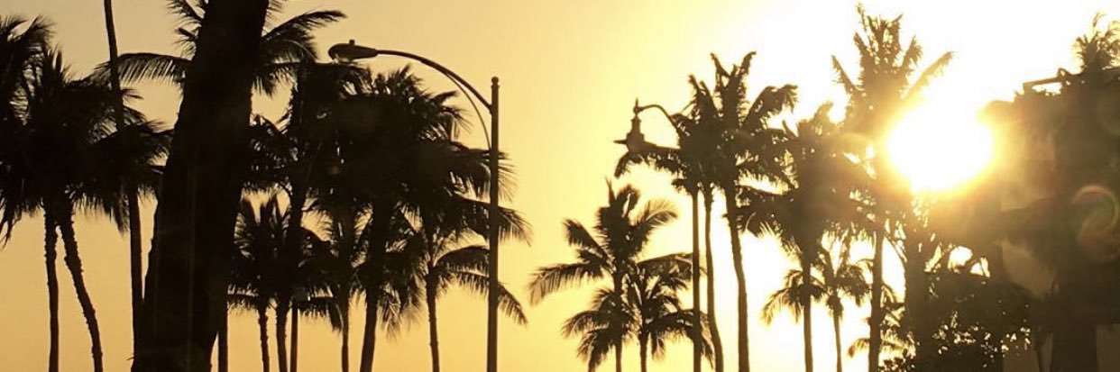 tattemdnae's profile banner image