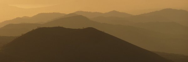 micklennonucd Profile Banner