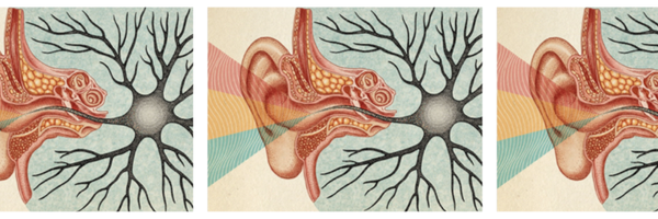 HyperacusisCure Profile Banner