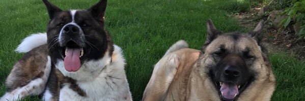 bbuckham1's profile banner image
