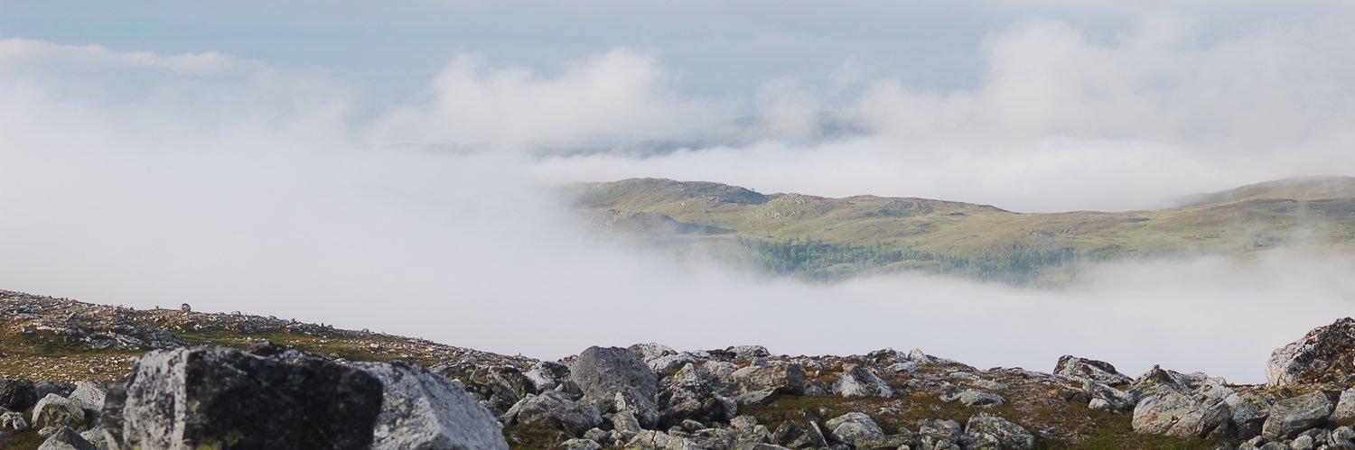 Rekar Abdulhamed banner