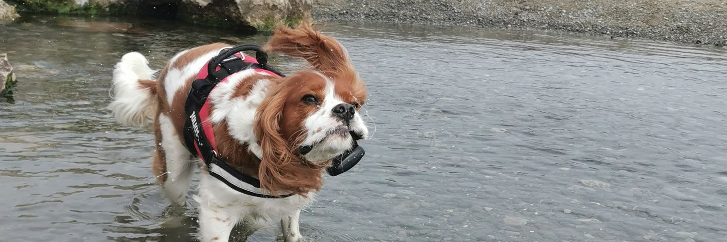 _Emmamitchellx's profile banner image