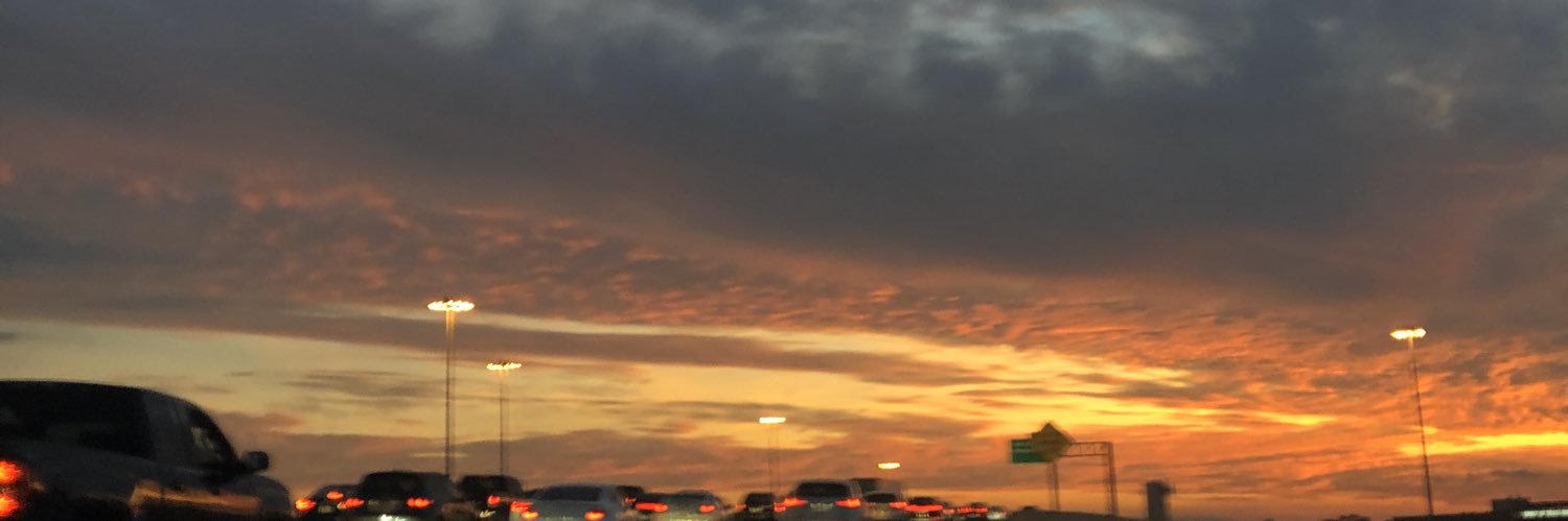 ivoryluu's profile banner image