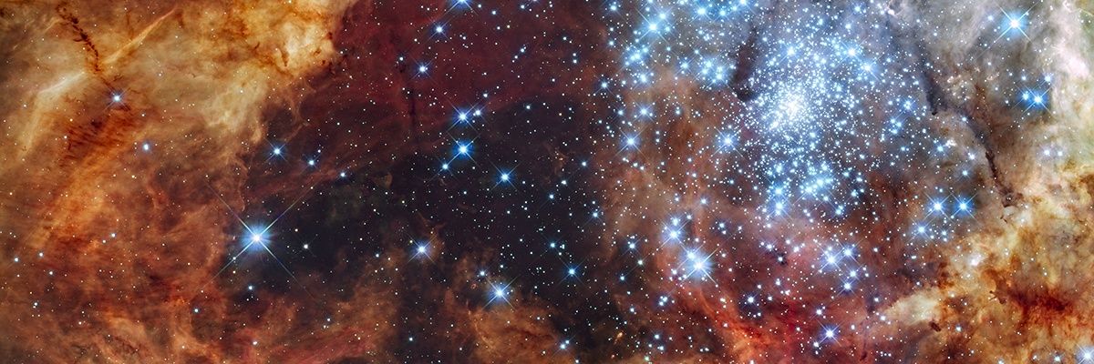 LadyMorphyne's profile banner image