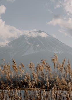 gumbo_gift's profile banner image