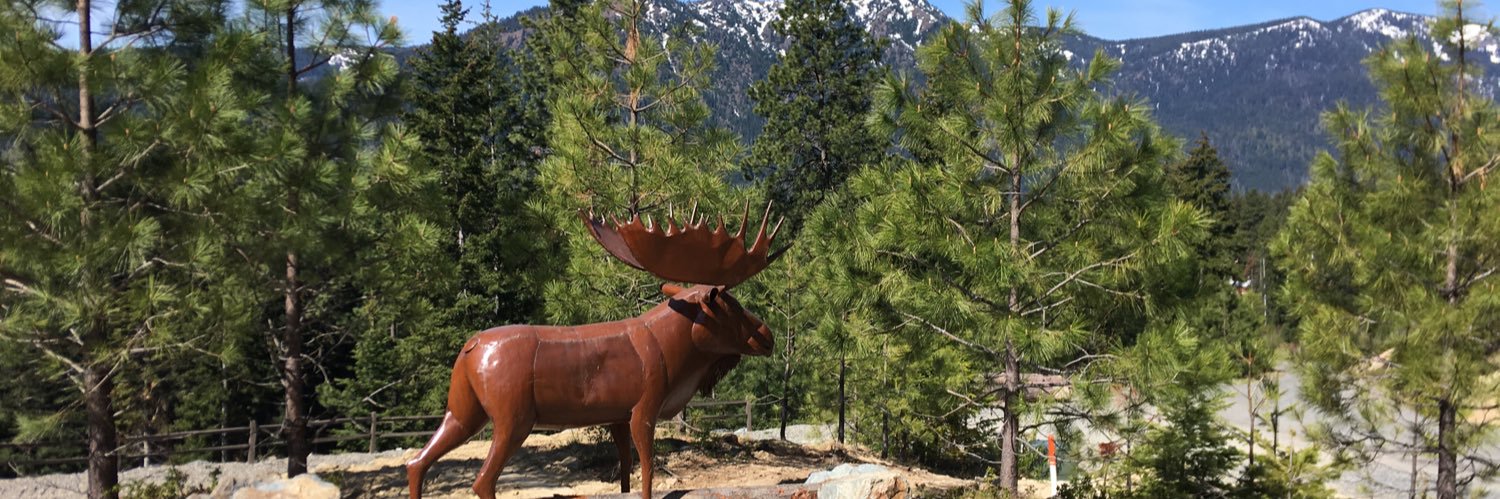 Darrald Carey banner