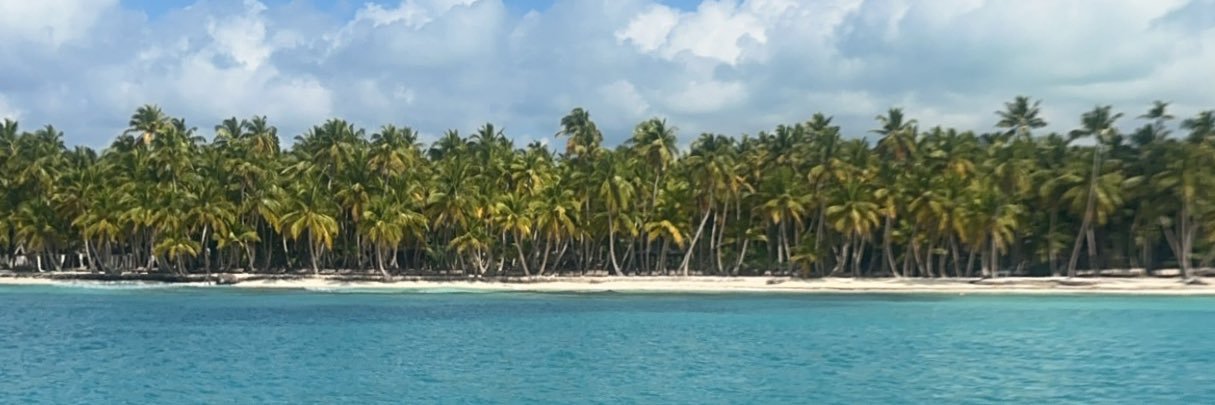 SharnaKat's profile banner image