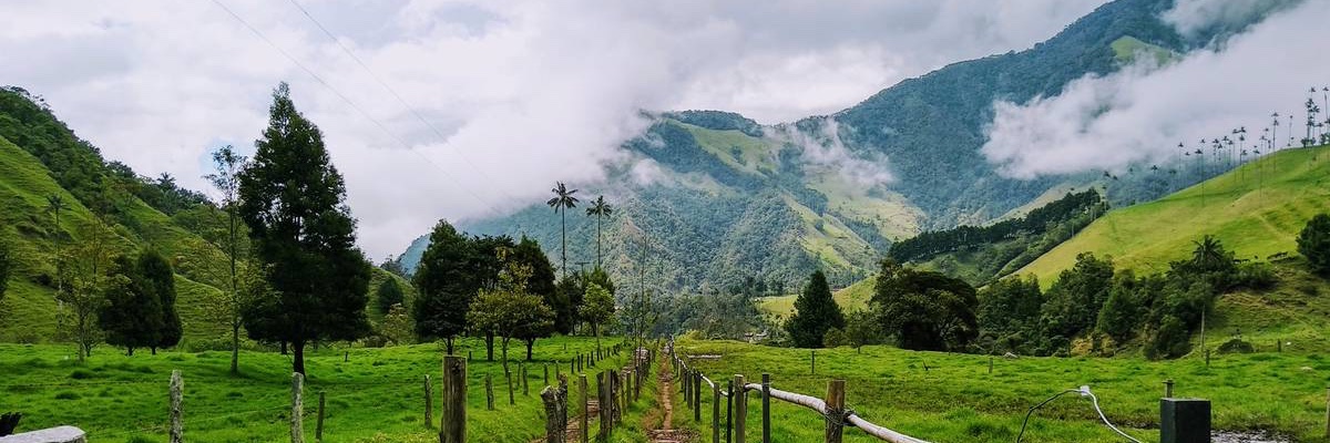 Política Colombia banner
