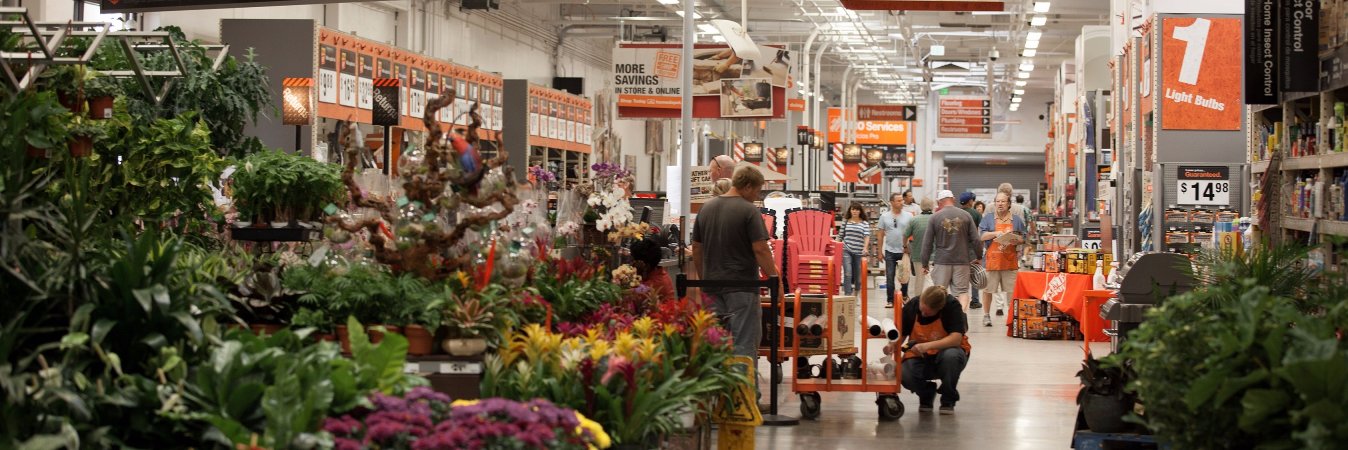 Patti Olmsted banner