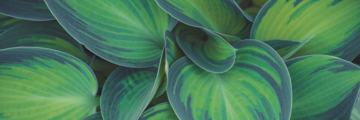KatieKupec's profile banner image