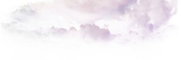 rimz banner