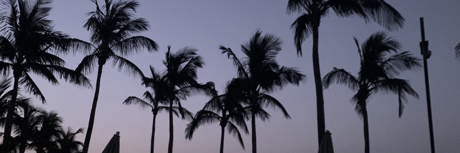 laurenssmith's profile banner image
