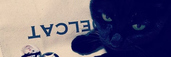 oringos Profile Banner