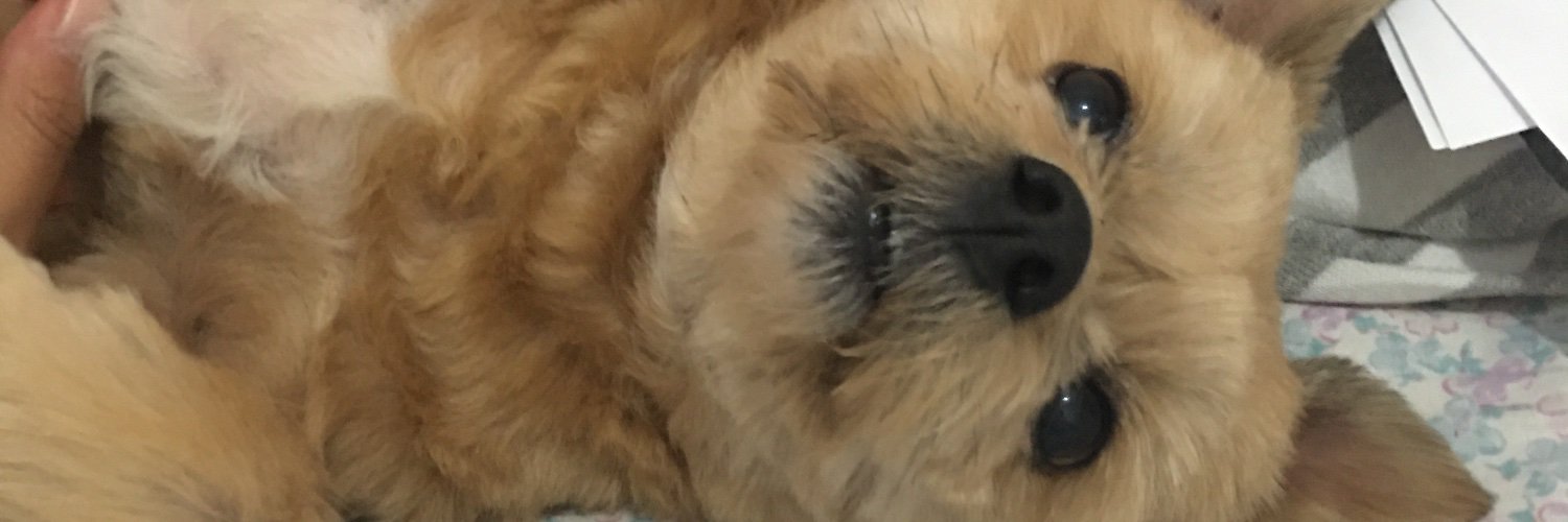 Miiskueli1's profile banner image