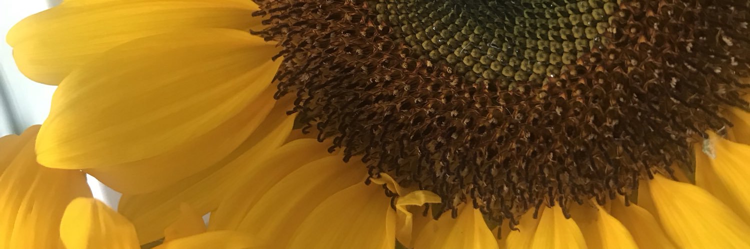 jkrock4's profile banner image