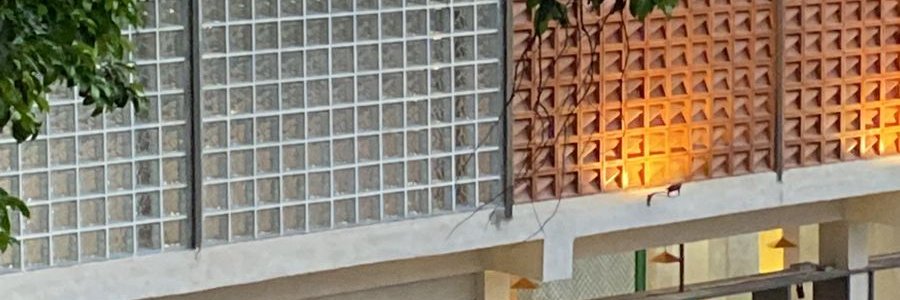 Xfrydz's profile banner image